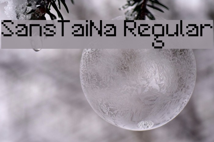 SansTaiNa Regular Font examples