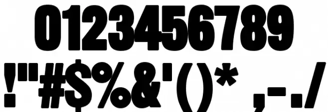 SansThirteenBlack Font OTHER CHARS