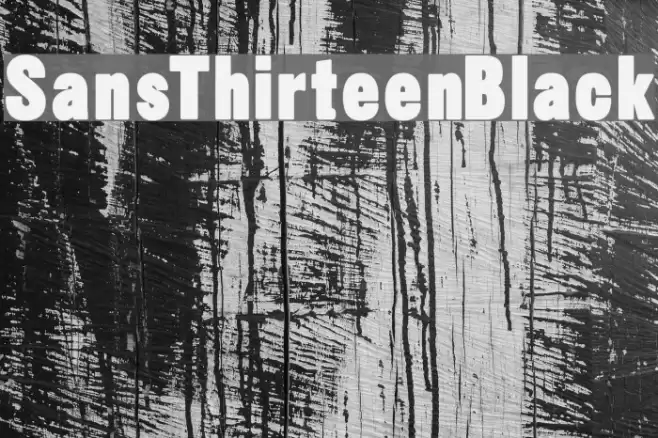 SansThirteenBlack Font examples