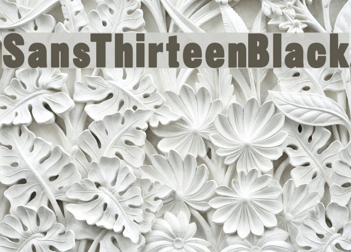SansThirteenBlack Font examples