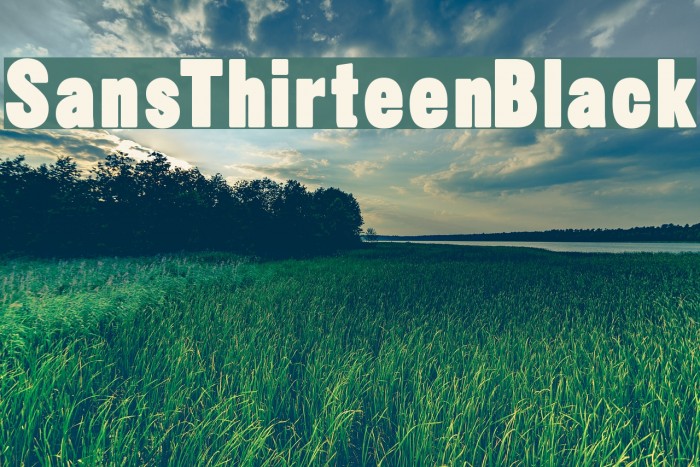 SansThirteenBlack Font examples