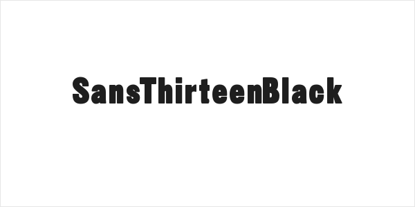 SansThirteenBlack Logo