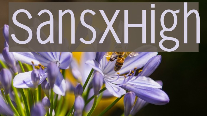 SansXHigh Font examples