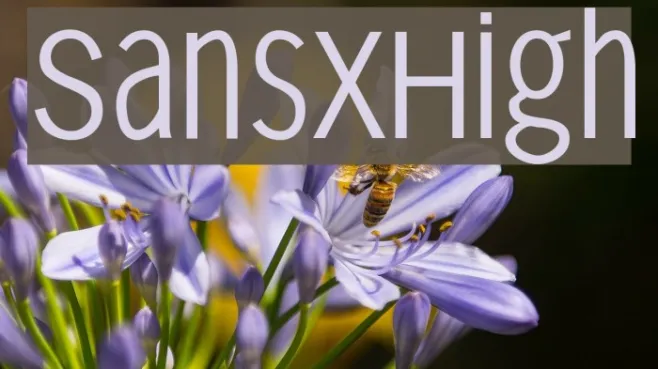 SansXHigh Example 1
