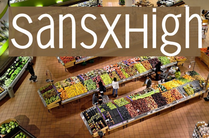 SansXHigh Font examples