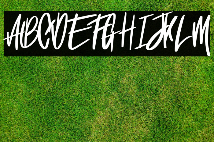 Sansa Regular Example 3