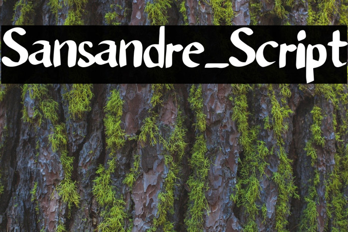 Sansandre_Script Font examples