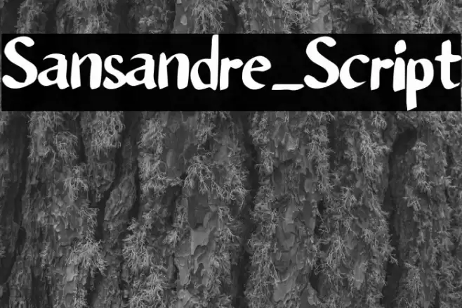 Sansandre_Script Fonte examples