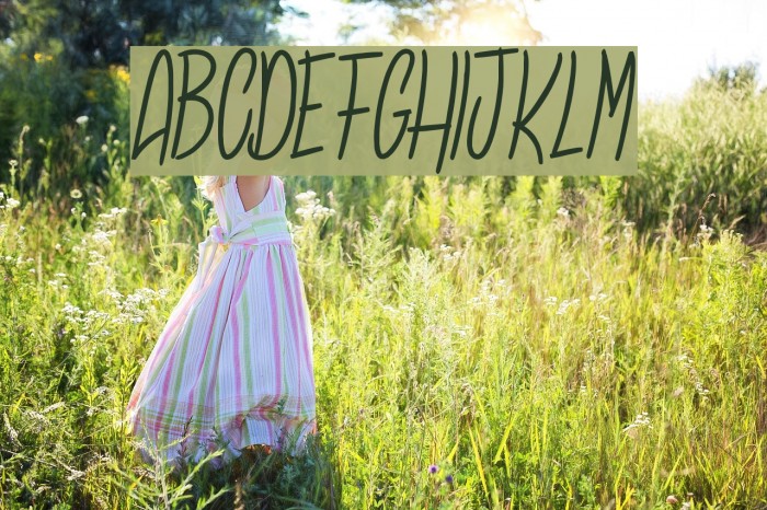 Sansaul Petronika Font examples