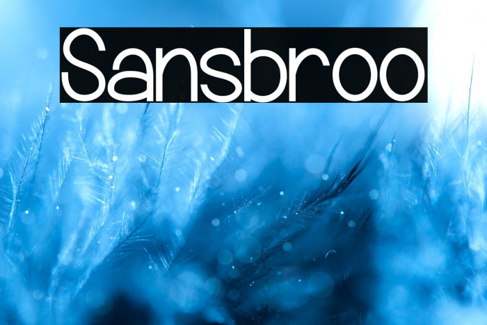 Sansbroo Example 1