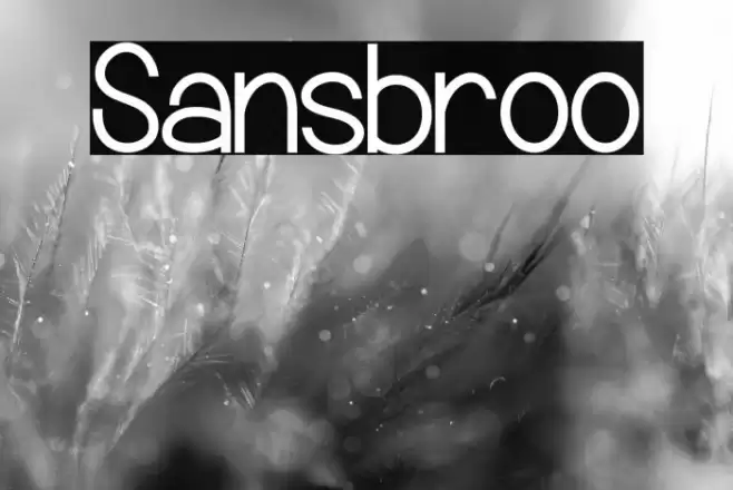 Sansbroo Font examples