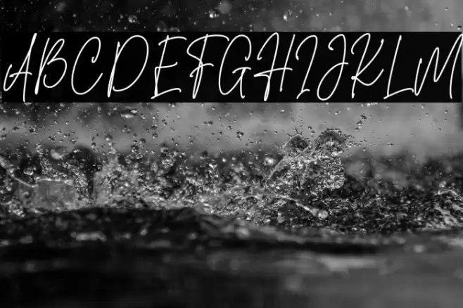 Sansburg Signature  examples