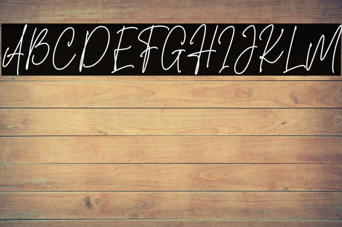 Sansburg Signature Font examples