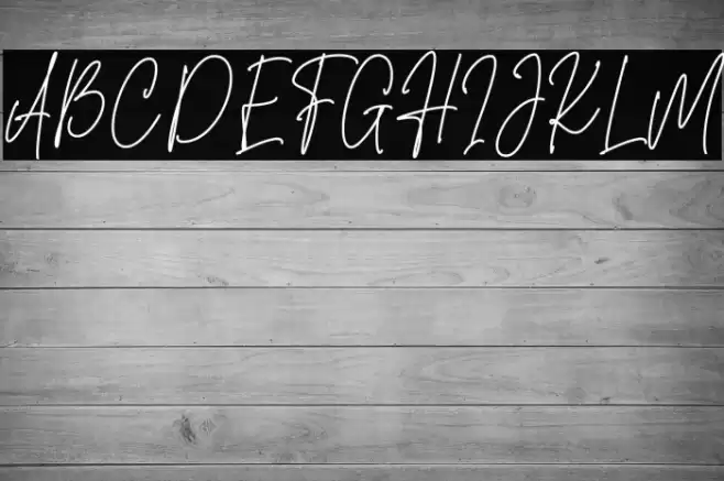 Sansburg Signature  examples