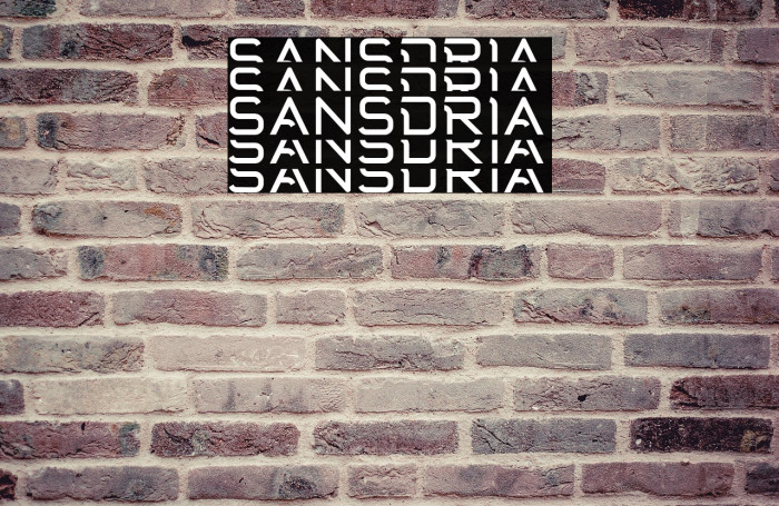 Sansdria Example 2
