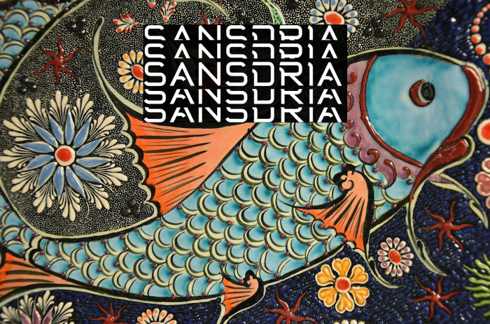 Sansdria Example 3