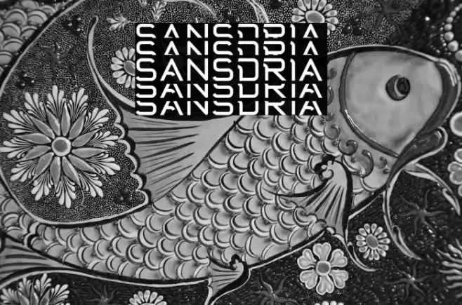 Sansdria Font examples