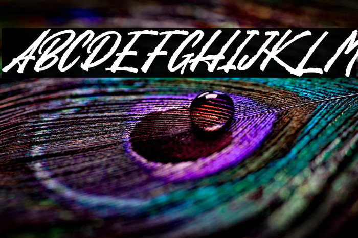 Sansha Demo Regular Example 1