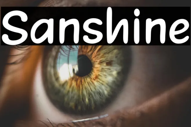 Sanshine Example 1