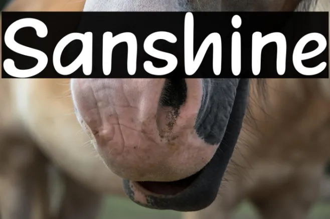 Sanshine Example 2