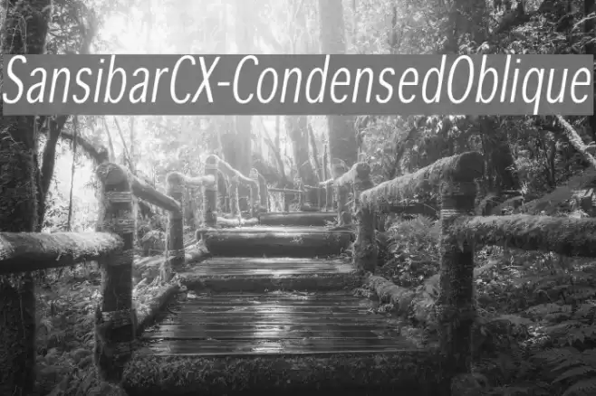 SansibarCX-CondensedOblique Font examples