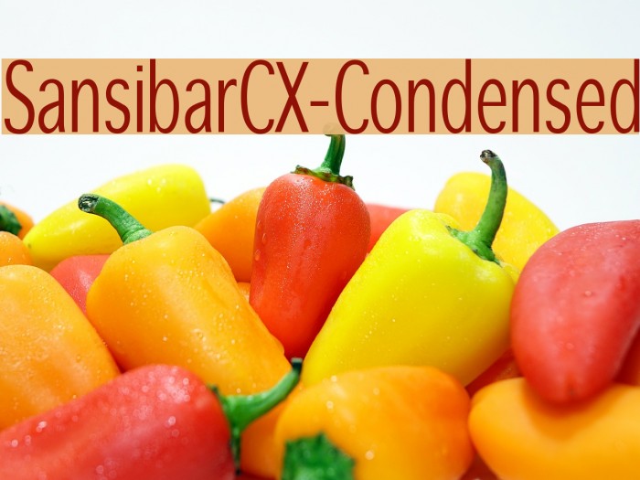 SansibarCX-Condensed Font examples