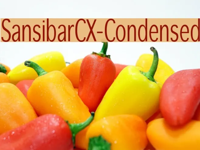 SansibarCX-Condensed Example 1