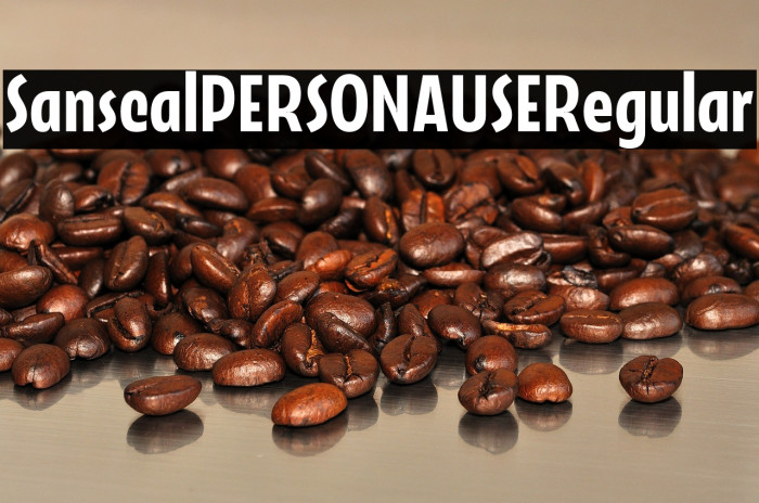 Sansical PERSONAL USE Regular Example 1