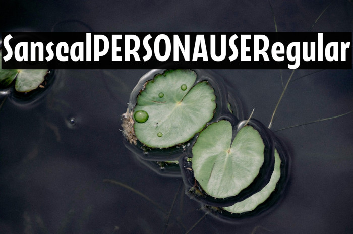 Sansical PERSONAL USE Regular Example 3