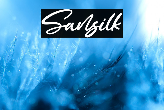 Sansilk Example 1