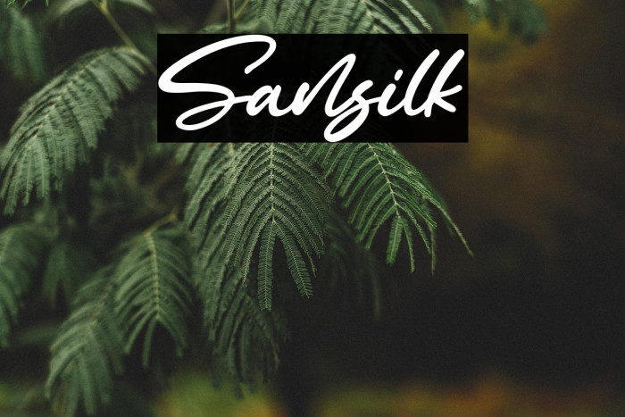 Sansilk Example 2