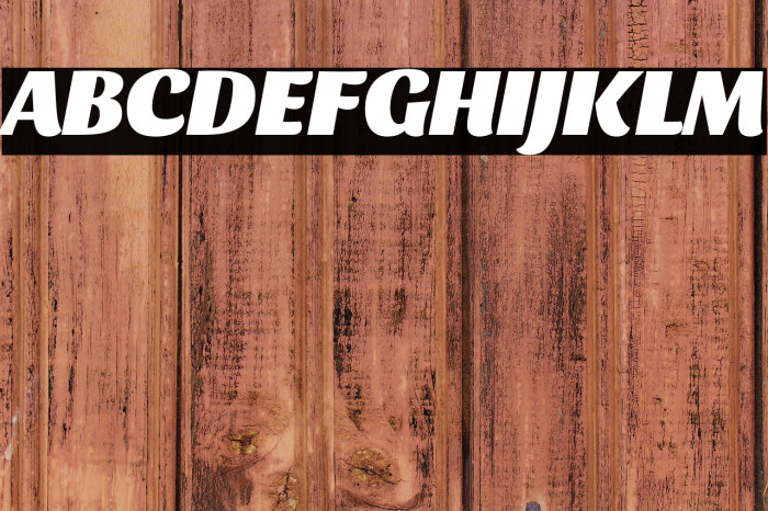 Sansita Black Italic Example 1