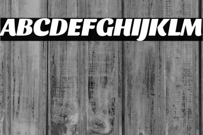 Sansita Black Italic Font examples