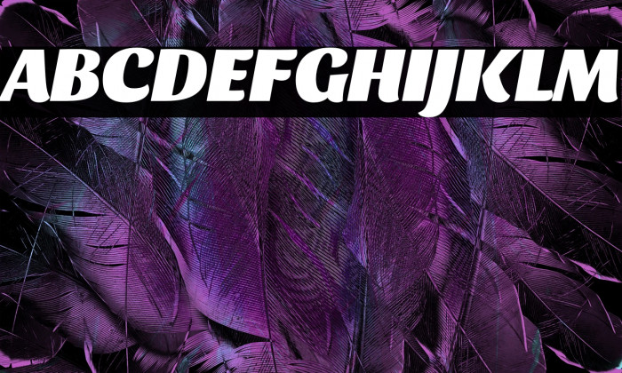 Sansita Black Italic Example 3