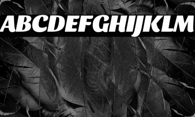 Sansita Black Italic Font examples