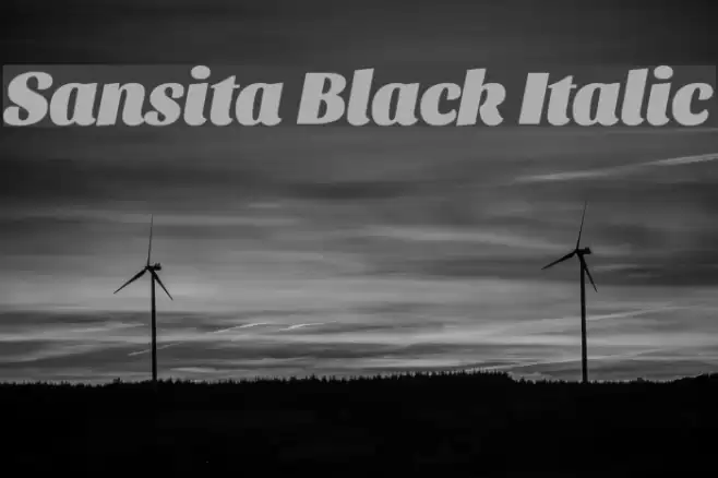 Sansita Black Italic Font examples
