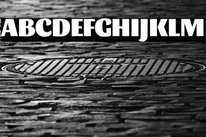 Sansita Black Font examples