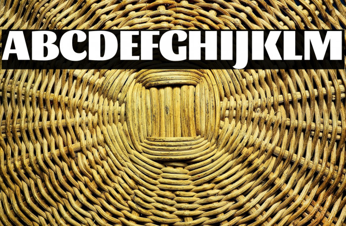 Sansita Black Example 2