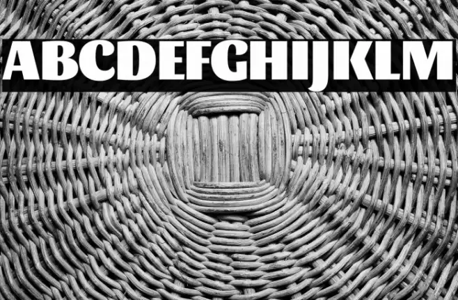 Sansita Black Font examples