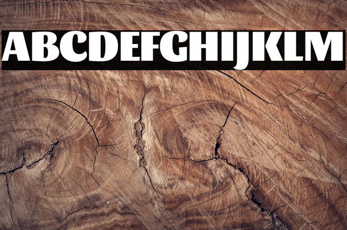 Sansita Black Example 3