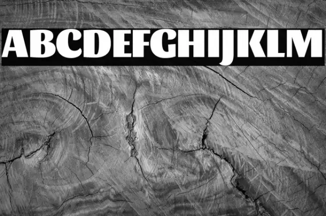 Sansita Black Font examples