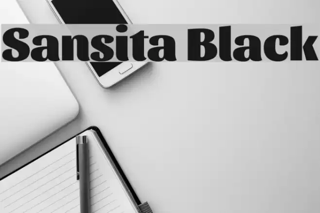 Sansita Black Font examples