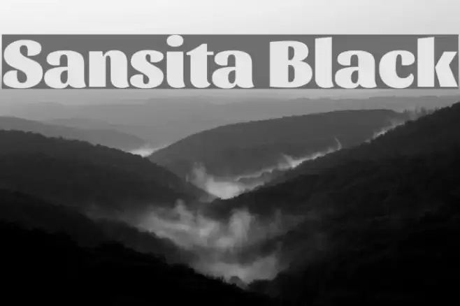 Sansita Black Font examples