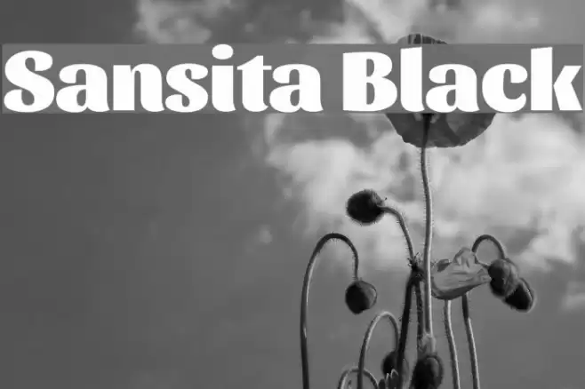 Sansita Black Font examples