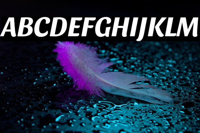 Sansita Bold Italic Example 2