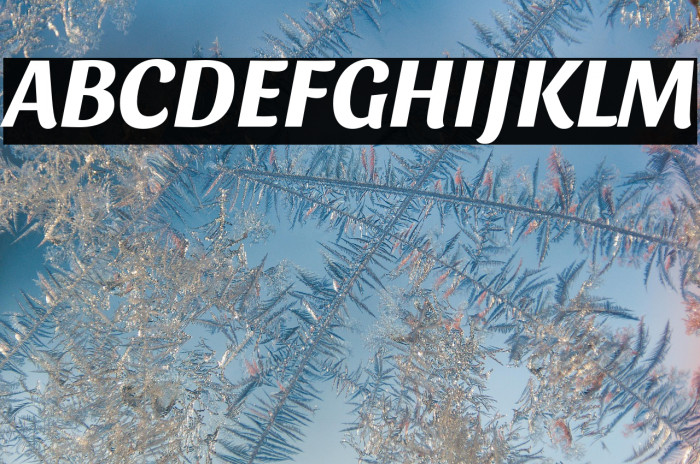 Sansita Bold Italic Example 3