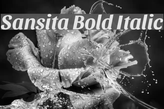 Sansita Bold Italic Font examples