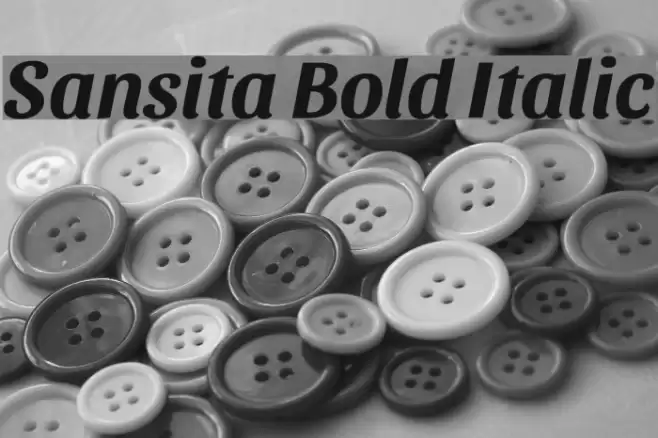 Sansita Bold Italic Font examples