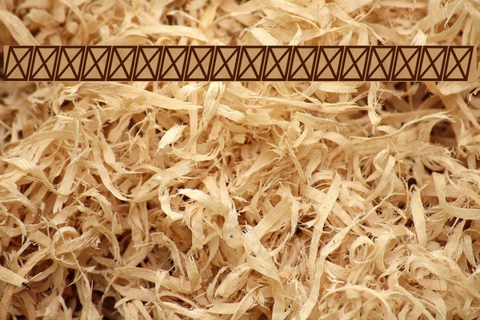 Sansita-BoldItalic Example 1