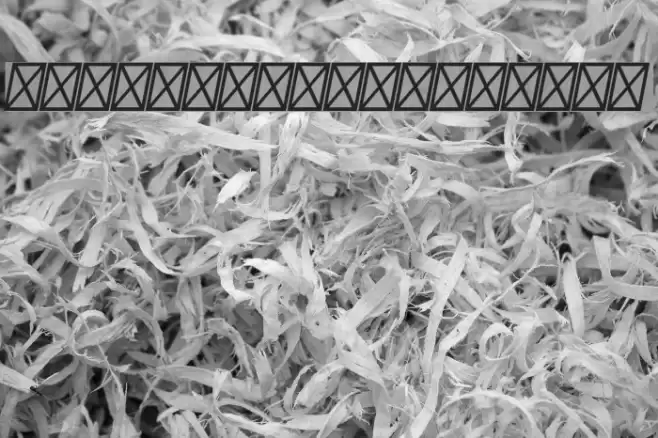 Sansita-BoldItalic Font examples